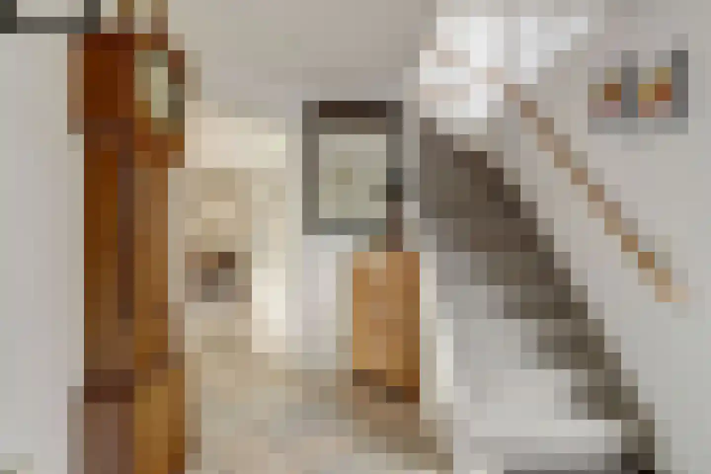 Nachtegaallaan 6 Rijswijk thumbnail 8