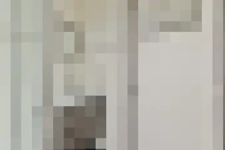 Nachtegaallaan 6 Vlaardingen thumbnail 17