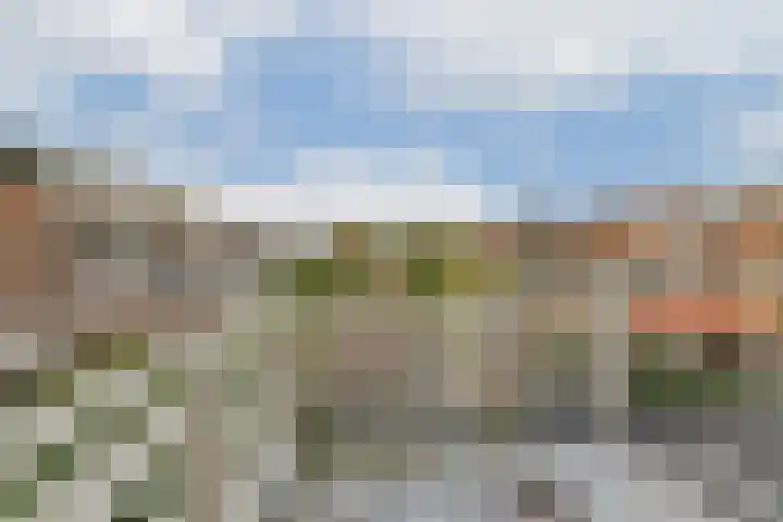 Nachtegaallaan 6 Vlaardingen thumbnail 19