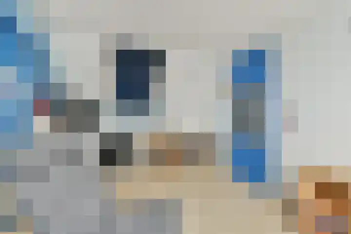 Nachtegaallaan 6 Vlaardingen thumbnail 28