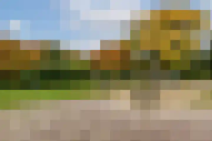 Nachtegaallaan 6 Vlaardingen thumbnail 30