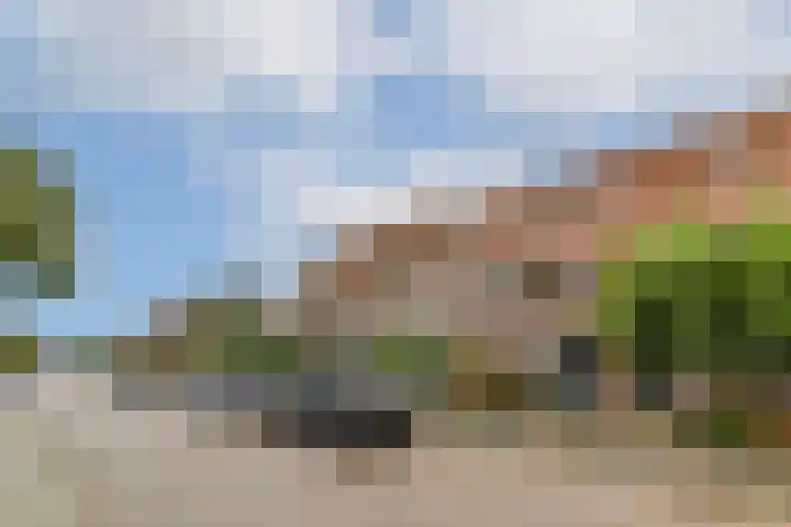 Nachtegaallaan 6 Vlaardingen thumbnail 4