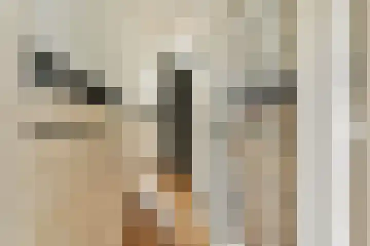 Nachtegaallaan 6 Vlaardingen thumbnail 6