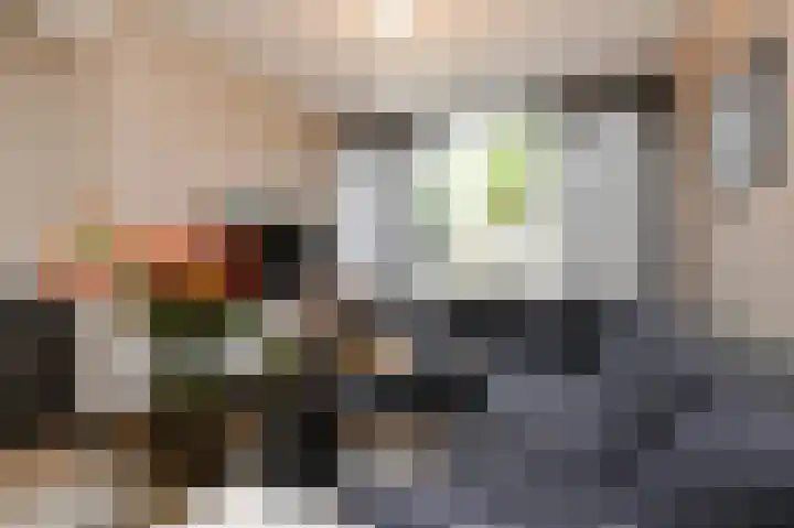 Nachtegaallaan 63 Bleiswijk thumbnail 10