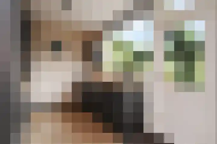 Nachtegaallaan 63 Bleiswijk thumbnail 13