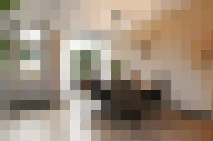 Nachtegaallaan 63 Bleiswijk thumbnail 19