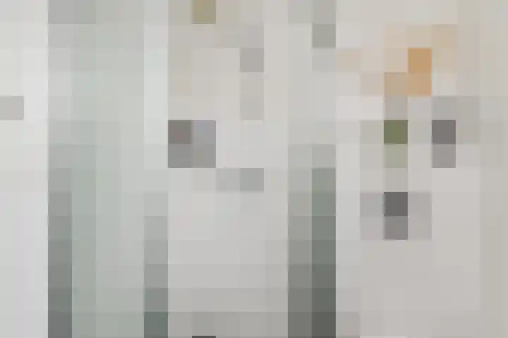 Nachtegaallaan 63 Bleiswijk thumbnail 33