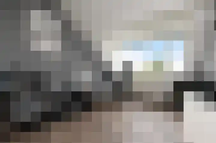 Nachtegaallaan 63 Bleiswijk thumbnail 35