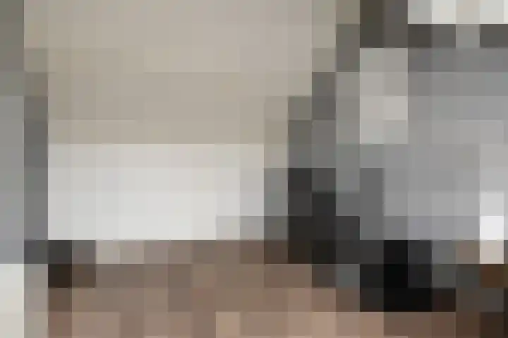 Nachtegaallaan 63 Bleiswijk thumbnail 37