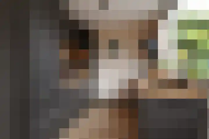 Nachtegaallaan 63 Bleiswijk thumbnail 4