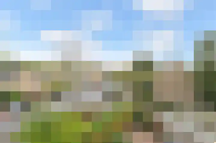 Nachtegaallaan 63 Bleiswijk thumbnail 40