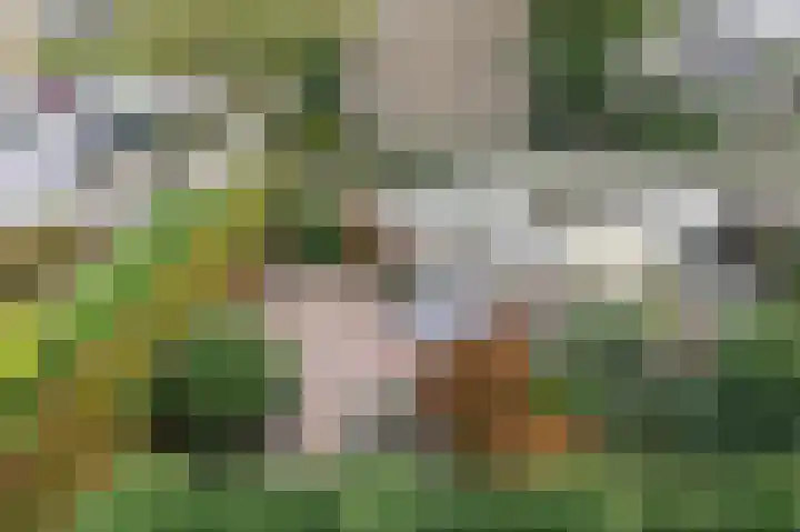 Nachtegaallaan 63 Bleiswijk thumbnail 41