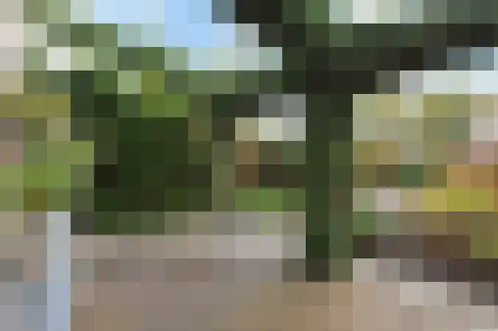 Nachtegaallaan 63 Bleiswijk thumbnail 42