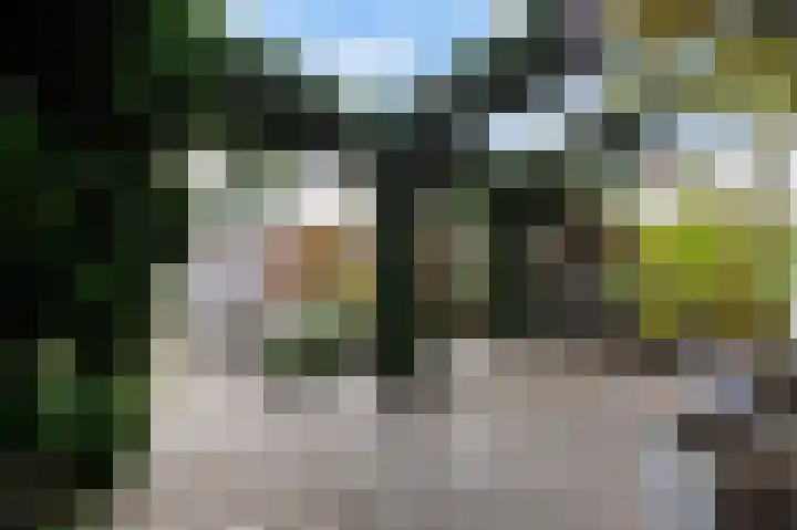 Nachtegaallaan 63 Bleiswijk thumbnail 43