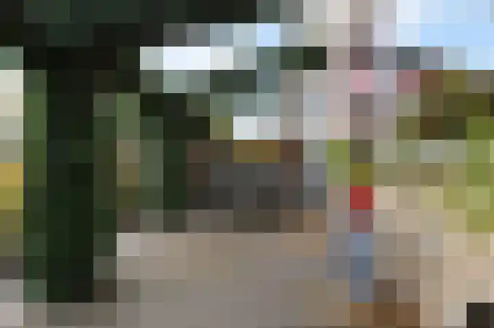 Nachtegaallaan 63 Bleiswijk thumbnail 44