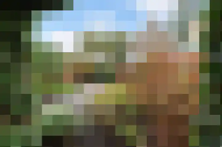 Nachtegaallaan 63 Bleiswijk thumbnail 45