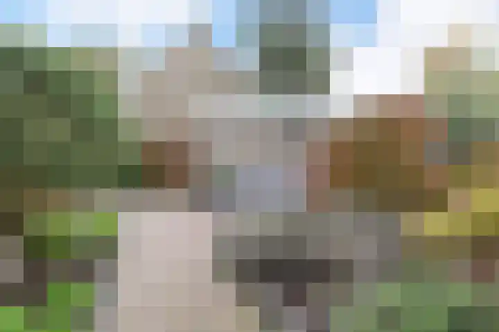 Nachtegaallaan 63 Bleiswijk thumbnail 46
