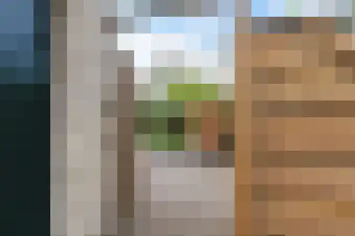 Nachtegaallaan 63 Bleiswijk thumbnail 48