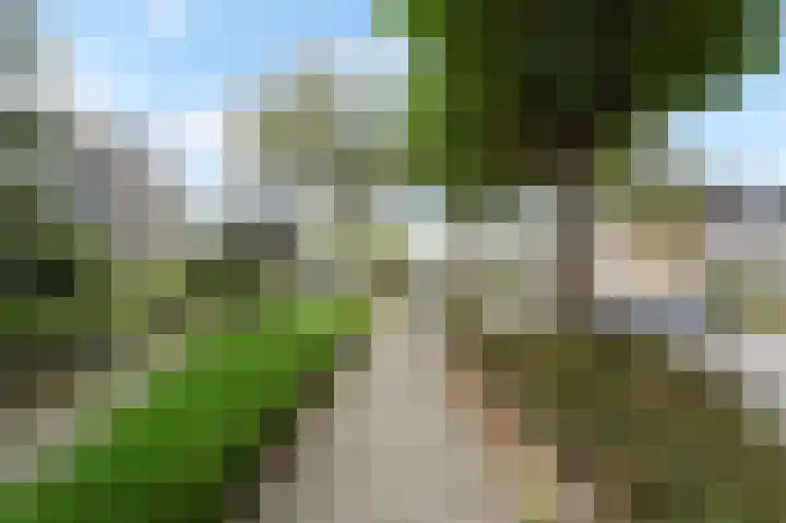 Nachtegaallaan 63 Bleiswijk thumbnail 49