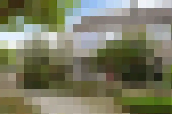Nachtegaallaan 63 Bleiswijk thumbnail 50