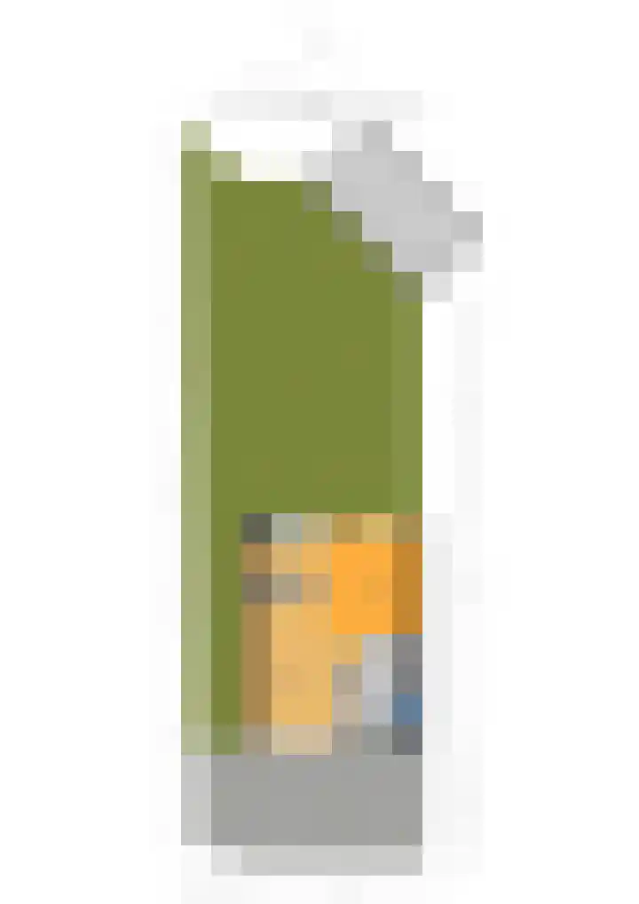 Nachtegaallaan 63 Bleiswijk thumbnail 56