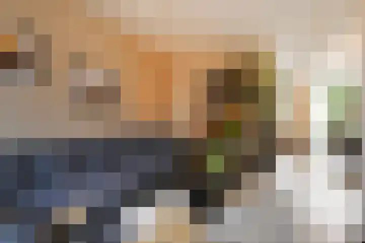 Nachtegaallaan 63 Bleiswijk thumbnail 9