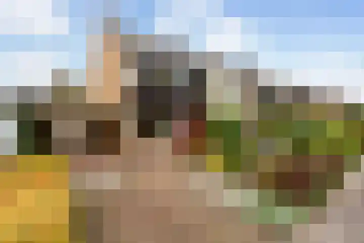 Nachtegaallaan 66 dans Maassluis