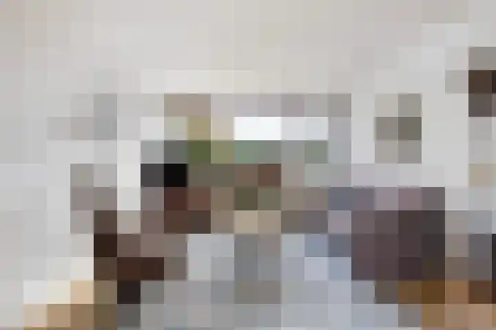 Nachtegaallaan 66 Maassluis thumbnail 11
