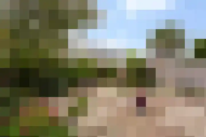 Nachtegaallaan 66 Maassluis thumbnail 20