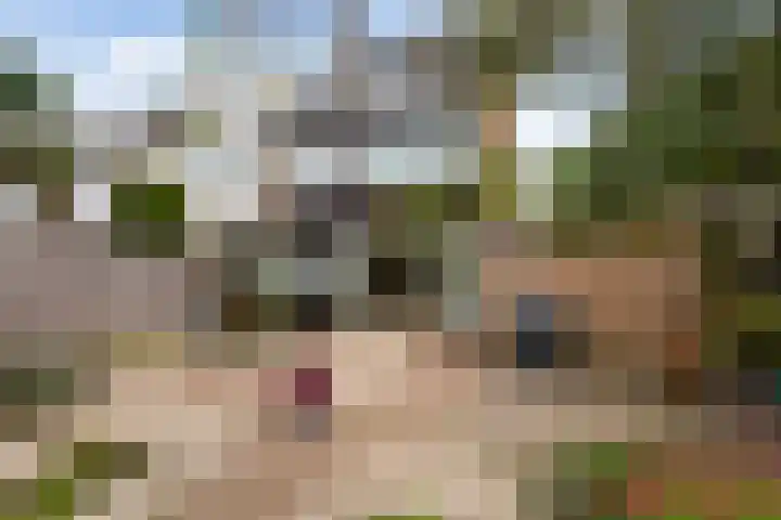 Nachtegaallaan 66 Maassluis thumbnail 21