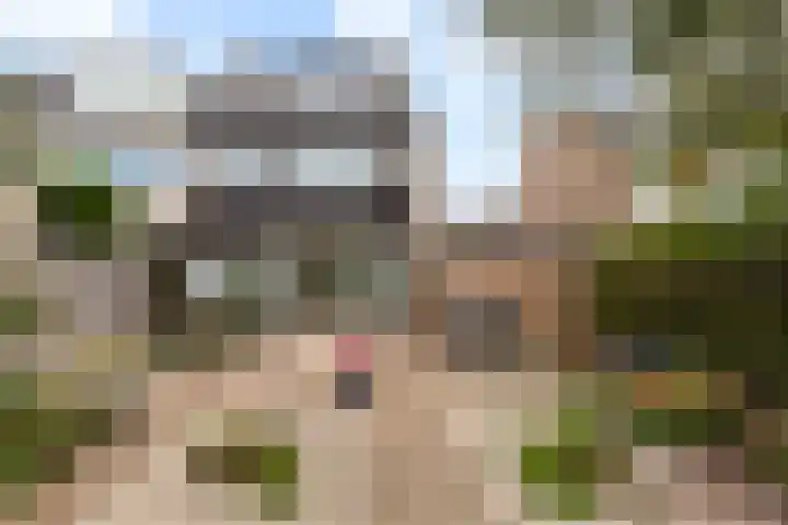 Nachtegaallaan 66 Maassluis thumbnail 22