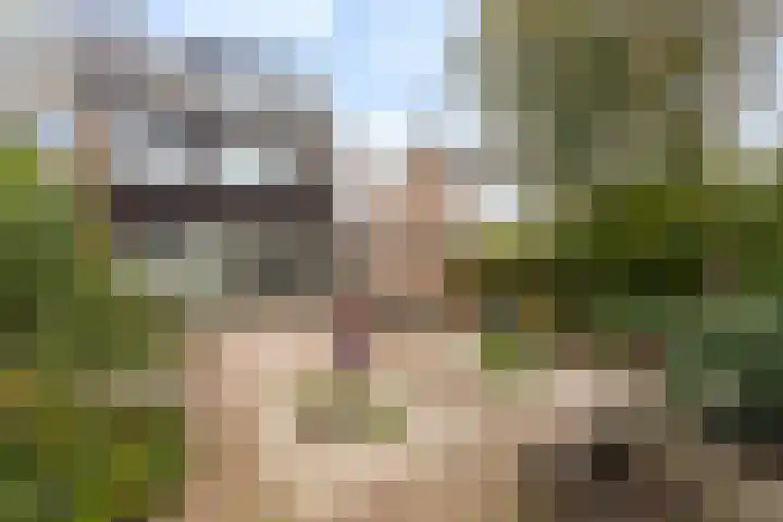 Nachtegaallaan 66 Maassluis thumbnail 23