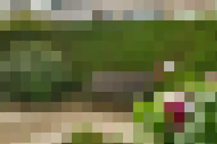 Nachtegaallaan 66 Maassluis thumbnail 24