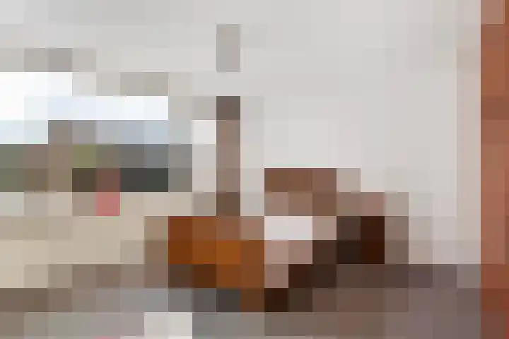 Nachtegaallaan 66 Maassluis thumbnail 27