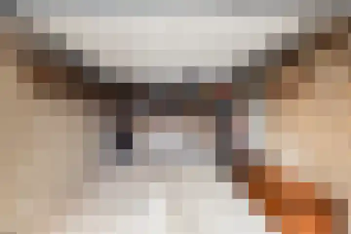 Nachtegaallaan 66 Maassluis thumbnail 42