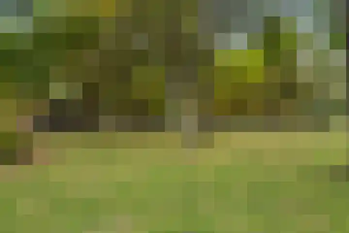 Nachtegaallaan 66 Maassluis thumbnail 43