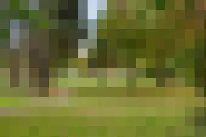 Nachtegaallaan 66 Maassluis thumbnail 45