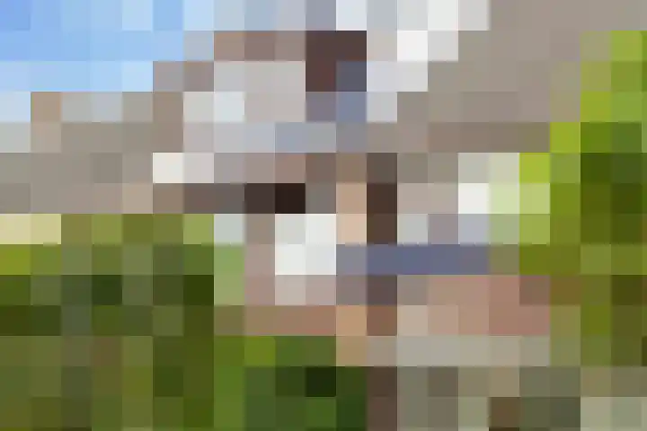Nachtegaallaan 66 Maassluis thumbnail 48