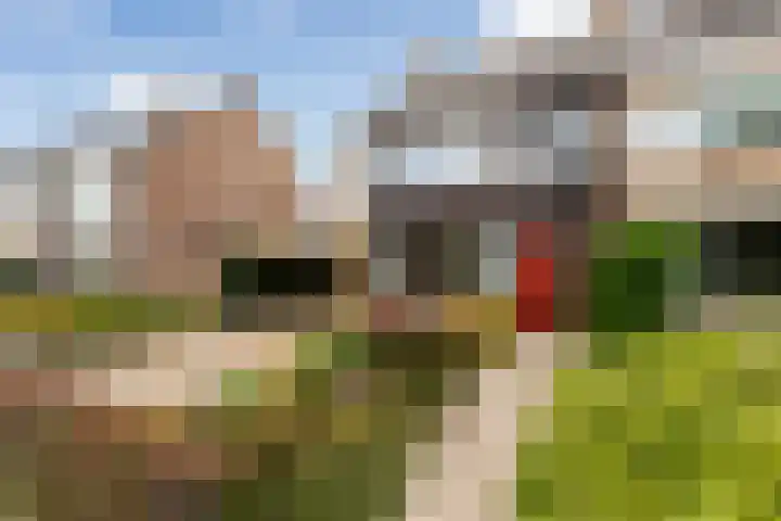 Nachtegaallaan 66 Maassluis thumbnail 49