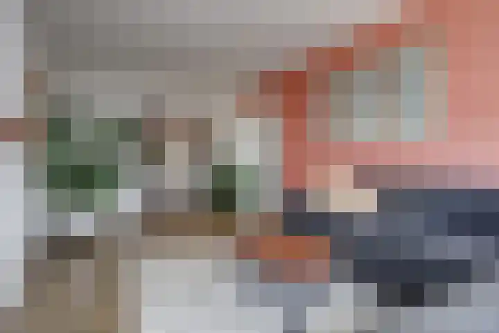 Nachtegaallaan 69 Katwijk thumbnail 15