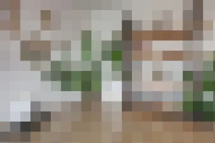 Nachtegaallaan 69 Katwijk thumbnail 16