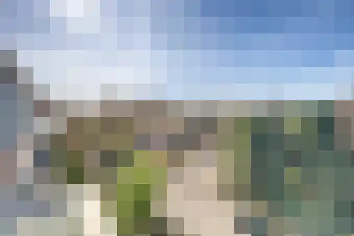 Nachtegaallaan 69 Katwijk thumbnail 24