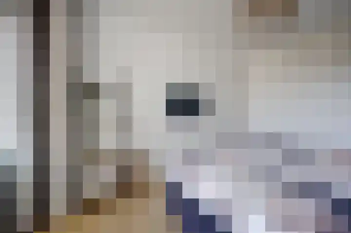 Nachtegaallaan 69 Katwijk thumbnail 28