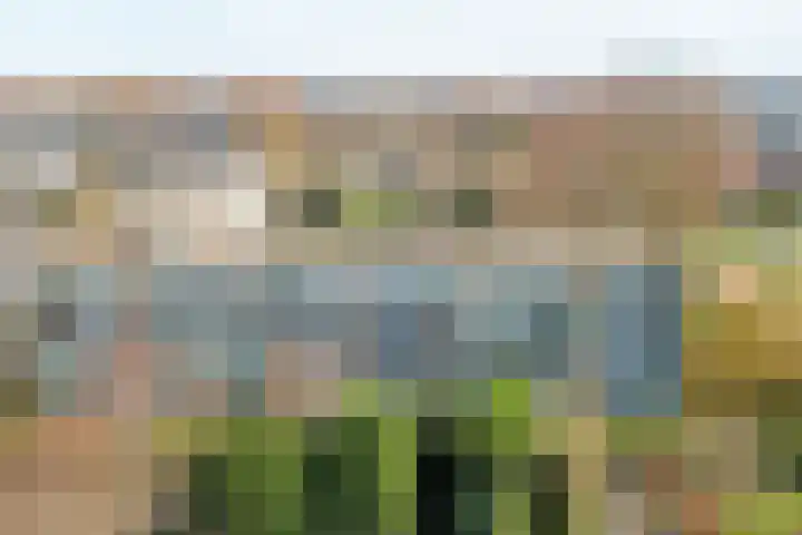 Nachtegaallaan 69 Katwijk thumbnail 36
