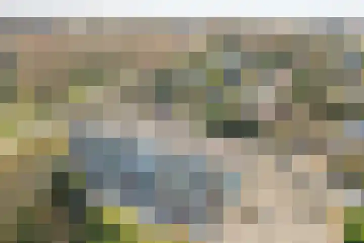 Nachtegaallaan 69 Katwijk thumbnail 38
