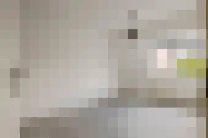 Nachtegaallaan 71 Tiel thumbnail 14