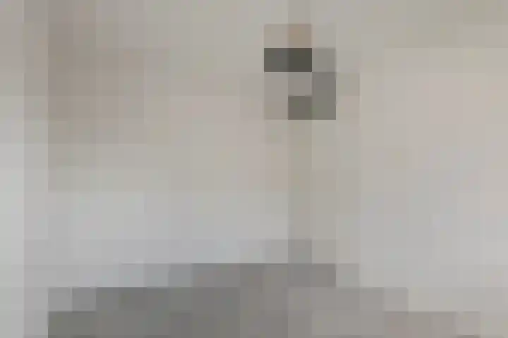 Nachtegaallaan 71 Tiel thumbnail 20