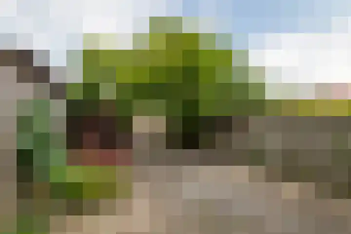 Nachtegaallaan 71 Tiel thumbnail 27