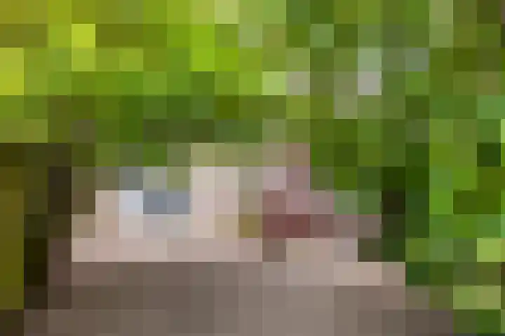 Nachtegaallaan 71 Tiel thumbnail 30