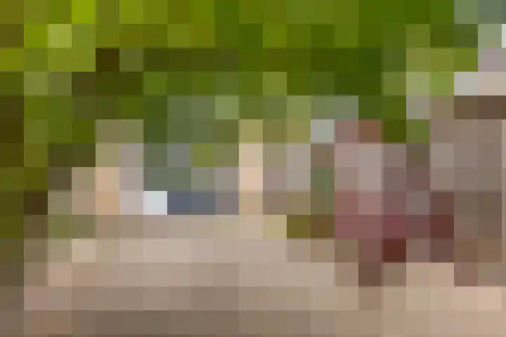 Nachtegaallaan 71 Tiel thumbnail 31